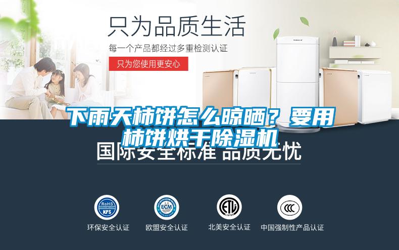 下雨天柿餅怎么晾曬？要用柿餅烘干除濕機