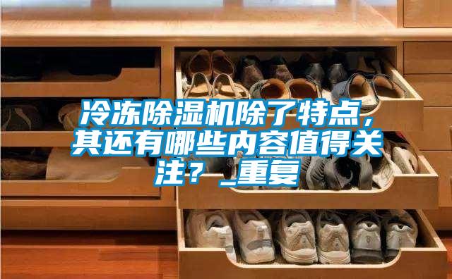 冷凍除濕機除了特點，其還有哪些內(nèi)容值得關(guān)注？_重復