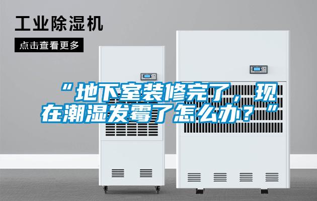 “地下室裝修完了，現(xiàn)在潮濕發(fā)霉了怎么辦？”