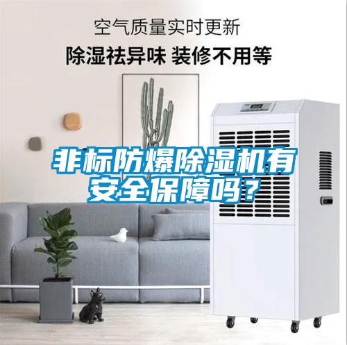 非標(biāo)防爆除濕機(jī)有安全保障嗎？