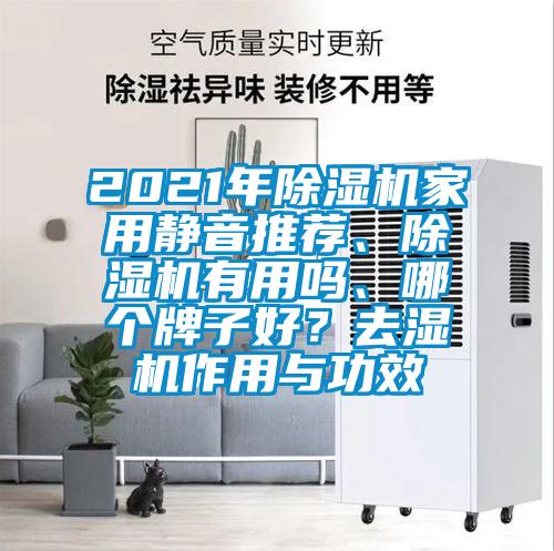 2021年除濕機家用靜音推薦、除濕機有用嗎、哪個牌子好？去濕機作用與功效