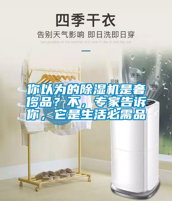 你以為的除濕機(jī)是奢侈品？不，專家告訴你，它是生活必需品