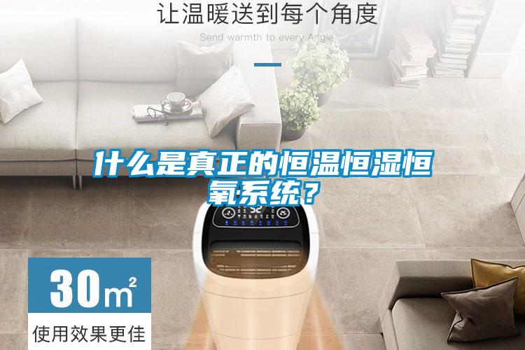 什么是真正的恒溫恒濕恒氧系統(tǒng)？
