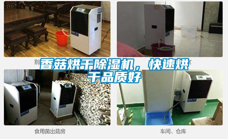 香菇烘干除濕機(jī)，快速烘干品質(zhì)好