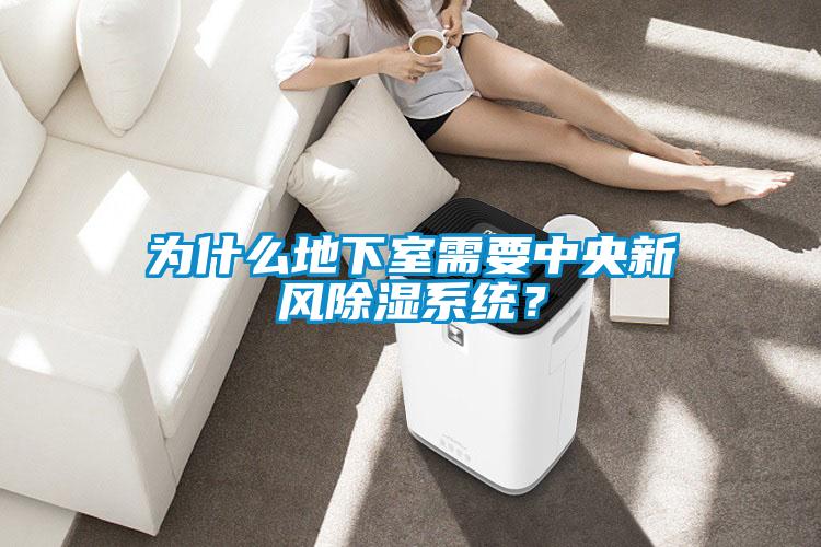 為什么地下室需要中央新風(fēng)除濕系統(tǒng)？