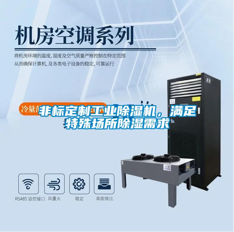 非標定制工業(yè)除濕機，滿足特殊場所除濕需求