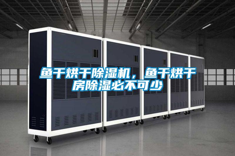 魚干烘干除濕機(jī)，魚干烘干房除濕必不可少