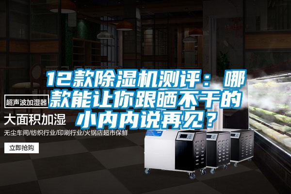 12款除濕機(jī)測(cè)評(píng)：哪款能讓你跟曬不干的小內(nèi)內(nèi)說(shuō)再見(jiàn)？
