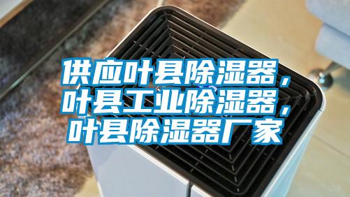 供應(yīng)葉縣除濕器，葉縣工業(yè)除濕器，葉縣除濕器廠(chǎng)家