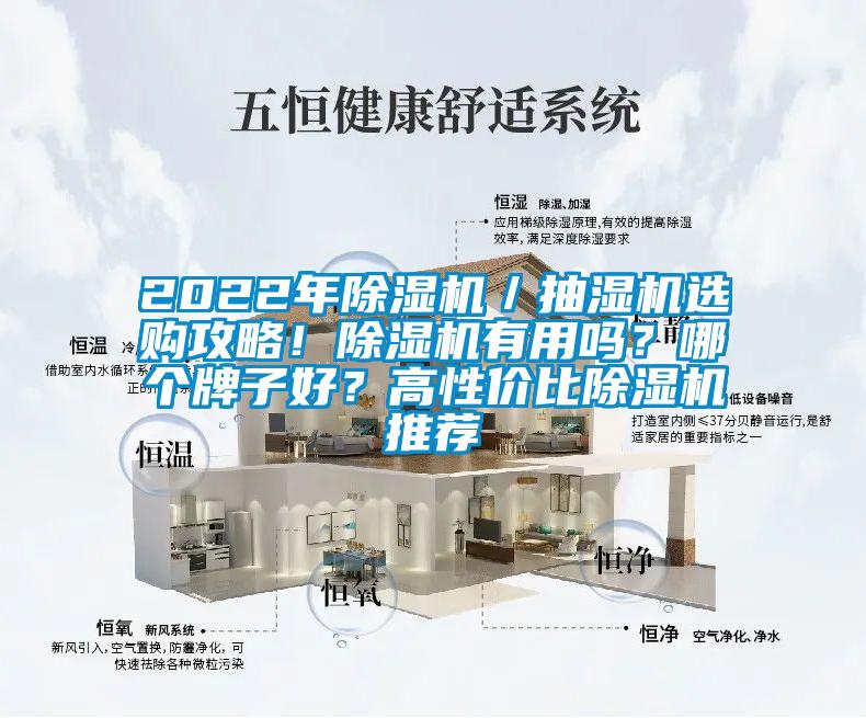 2022年除濕機(jī)／抽濕機(jī)選購(gòu)攻略！除濕機(jī)有用嗎？哪個(gè)牌子好？高性價(jià)比除濕機(jī)推薦