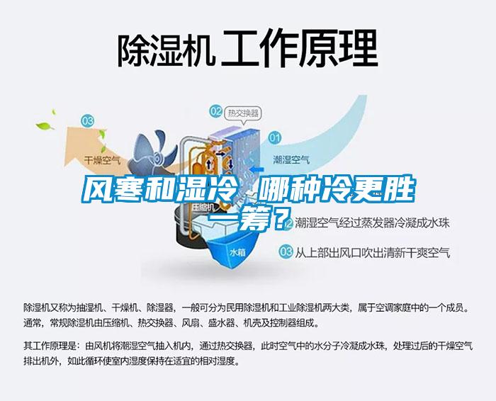 風(fēng)寒和濕冷 哪種冷更勝一籌？