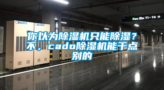 你以為除濕機(jī)只能除濕？不，cado除濕機(jī)能干點(diǎn)別的