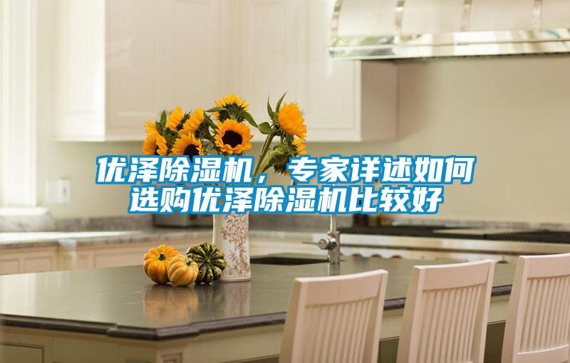 優(yōu)澤除濕機(jī)，專家詳述如何選購優(yōu)澤除濕機(jī)比較好