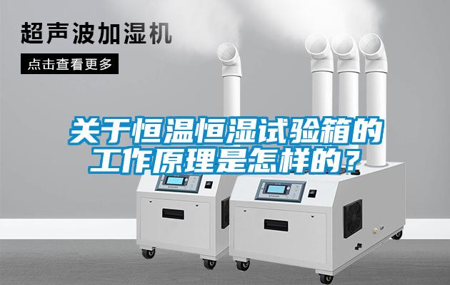 關于恒溫恒濕試驗箱的工作原理是怎樣的？