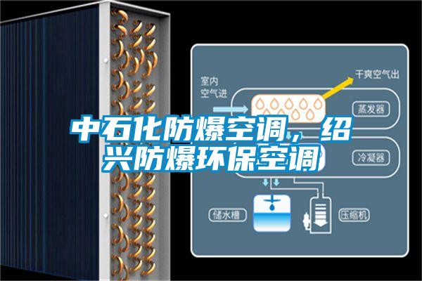 中石化防爆空調(diào)，紹興防爆環(huán)?？照{(diào)
