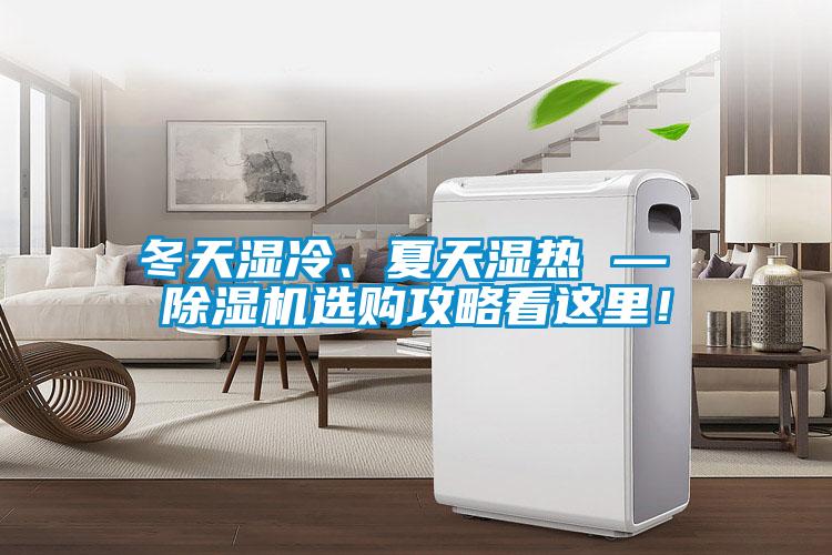 冬天濕冷、夏天濕熱 — 除濕機選購攻略看這里！