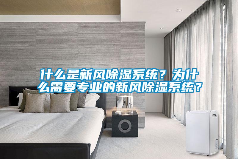 什么是新風(fēng)除濕系統(tǒng)？為什么需要專業(yè)的新風(fēng)除濕系統(tǒng)？