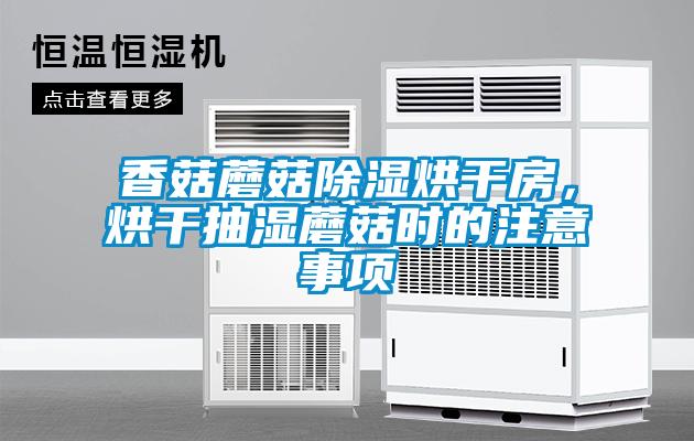 香菇蘑菇除濕烘干房，烘干抽濕蘑菇時的注意事項