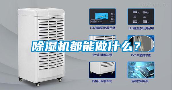 除濕機都能做什么？