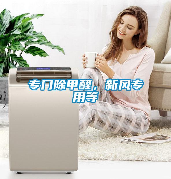 專門除甲醛，新風(fēng)專用等