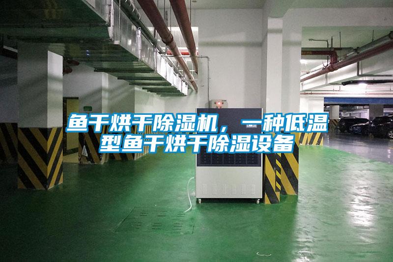 魚干烘干除濕機，一種低溫型魚干烘干除濕設(shè)備
