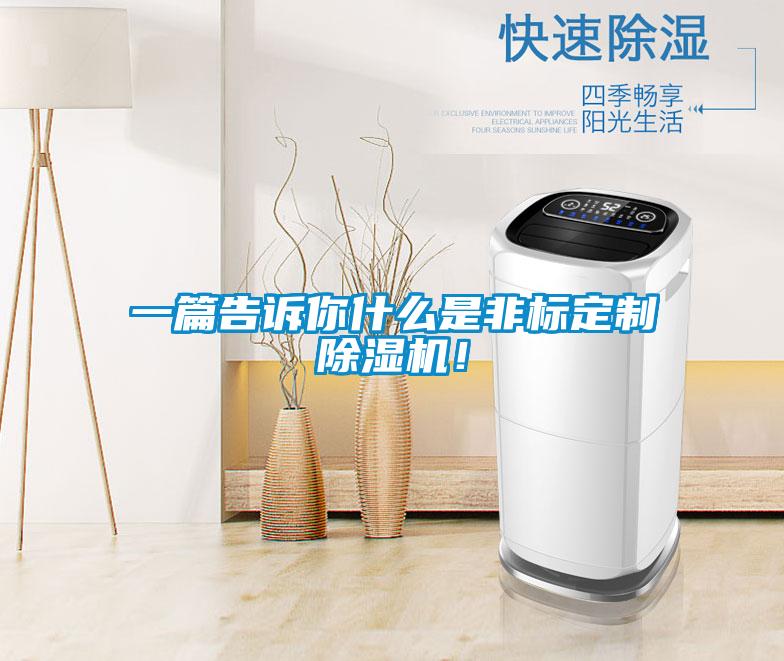 一篇告訴你什么是非標(biāo)定制除濕機(jī)！