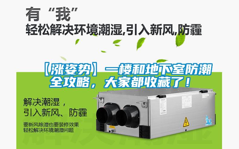 【漲姿勢】一樓和地下室防潮全攻略，大家都收藏了！