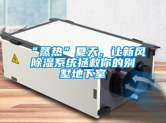 “蒸熱”夏天，讓新風(fēng)除濕系統(tǒng)拯救你的別墅地下室