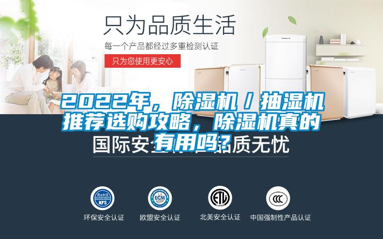 2022年，除濕機／抽濕機推薦選購攻略，除濕機真的有用嗎？