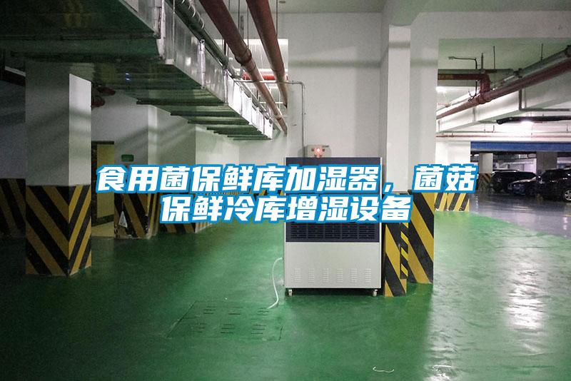食用菌保鮮庫加濕器，菌菇保鮮冷庫增濕設(shè)備