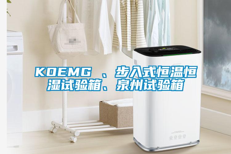 KOEMG 、步入式恒溫恒濕試驗(yàn)箱、泉州試驗(yàn)箱