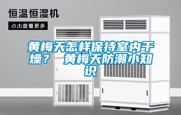 黃梅天怎樣保持室內干燥？ 黃梅天防潮小知識