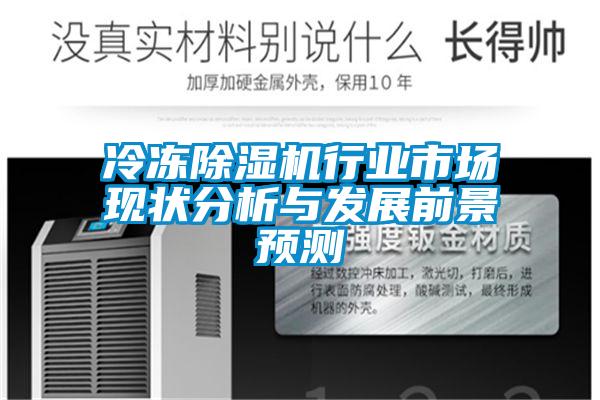 冷凍除濕機行業(yè)市場現(xiàn)狀分析與發(fā)展前景預測