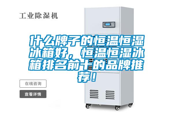 什么牌子的恒溫恒濕冰箱好，恒溫恒濕冰箱排名前十的品牌推薦！