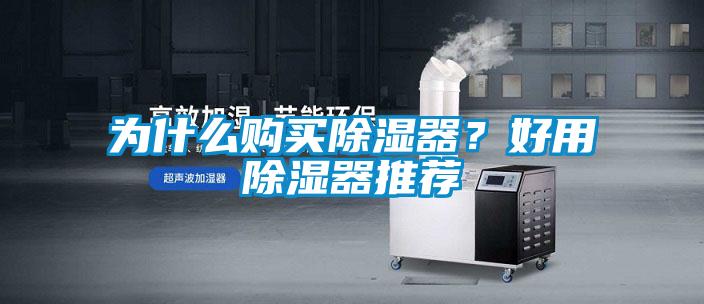 為什么購(gòu)買除濕器？好用除濕器推薦
