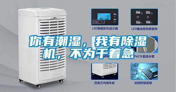 你有潮濕，我有除濕機(jī)，不為干著急