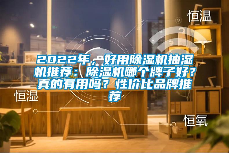 2022年，好用除濕機抽濕機推薦：除濕機哪個牌子好？真的有用嗎？性價比品牌推薦
