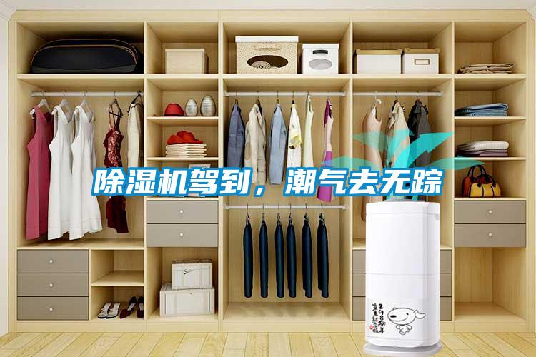 除濕機駕到，潮氣去無蹤
