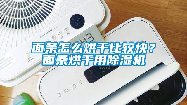 面條怎么烘干比較快？面條烘干用除濕機(jī)
