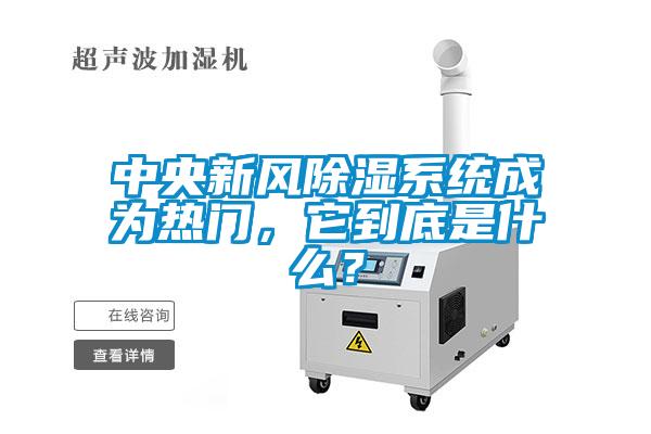 中央新風(fēng)除濕系統(tǒng)成為熱門，它到底是什么？