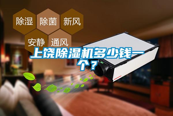 上饒除濕機(jī)多少錢一個(gè)？