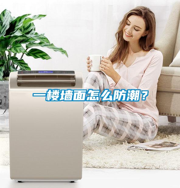 一樓墻面怎么防潮？