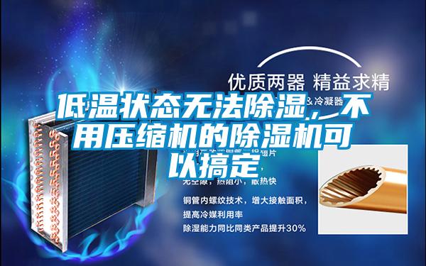 低溫狀態(tài)無法除濕，不用壓縮機(jī)的除濕機(jī)可以搞定