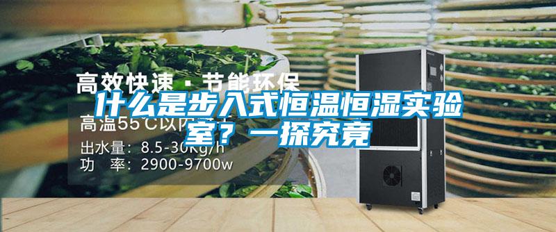 什么是步入式恒溫恒濕實(shí)驗(yàn)室？一探究竟