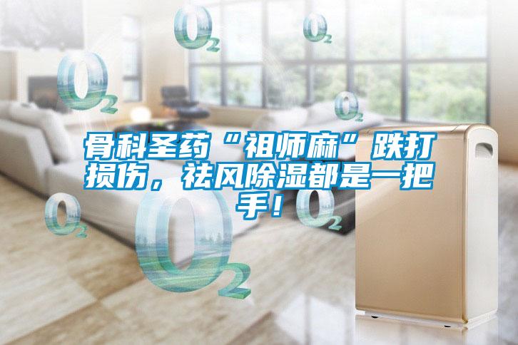 骨科圣藥“祖師麻”跌打損傷，祛風(fēng)除濕都是一把手！