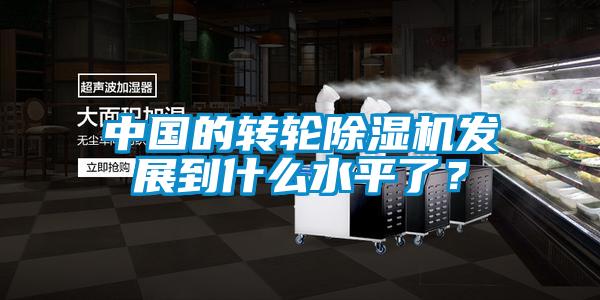 中國的轉(zhuǎn)輪除濕機(jī)發(fā)展到什么水平了？