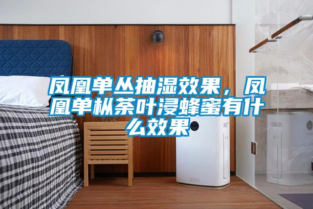 鳳凰單叢抽濕效果，鳳凰單樅荼葉浸蜂蜜有什么效果