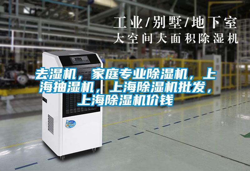 去濕機(jī)，家庭專業(yè)除濕機(jī)，上海抽濕機(jī)，上海除濕機(jī)批發(fā)，上海除濕機(jī)價(jià)錢