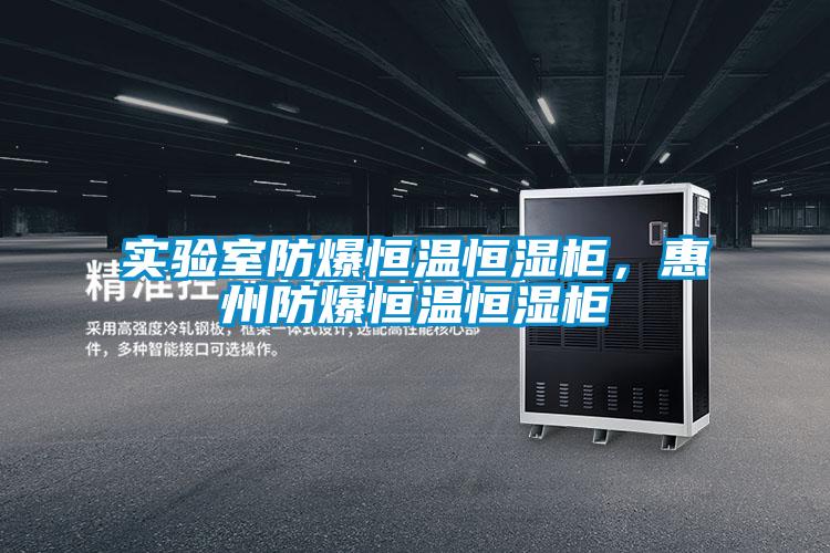 實(shí)驗(yàn)室防爆恒溫恒濕柜，惠州防爆恒溫恒濕柜