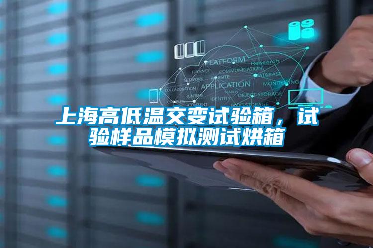 上海高低溫交變?cè)囼?yàn)箱，試驗(yàn)樣品模擬測(cè)試烘箱
